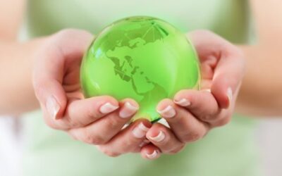 Can Predge contribute to a greener future?
